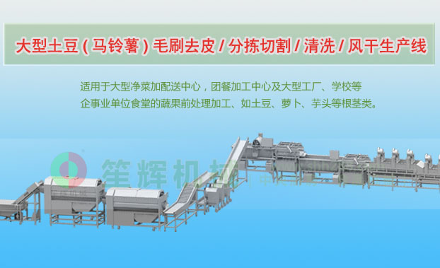 宁乡连续式土豆去皮清洗切割风干生产线